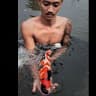 Roman Koi