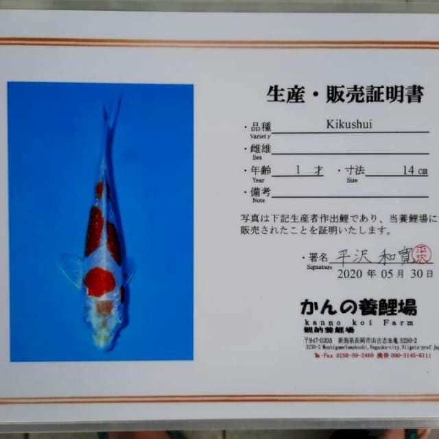 Kikushui serti farm KANNO 