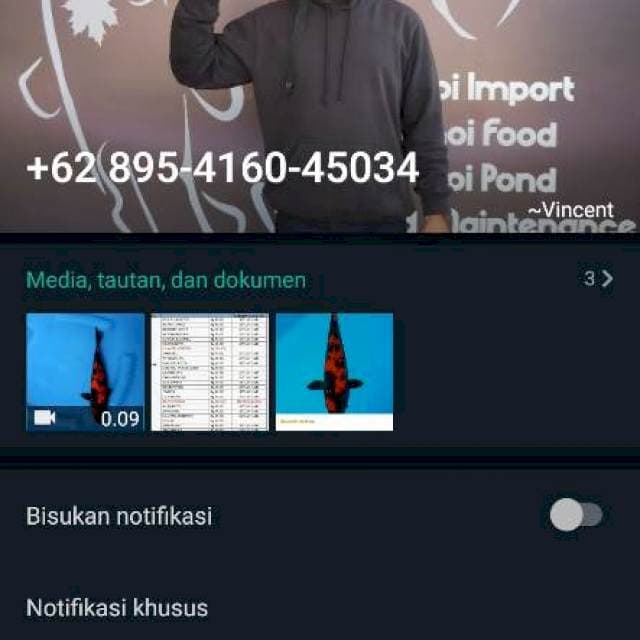 Bin run auto viral