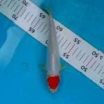 Tancho kohaku doit 21cm