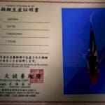 Showa (marusei)25bu import sertifikat