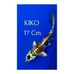 Kiko SQ 17 Cm