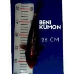Benikumon Antikan