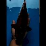 Tembaga bulky 32 cm