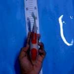 Kohaku 21cm