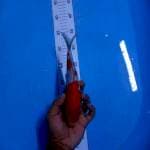 Kohaku 22 cm