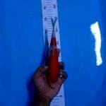 Kohaku 23cm