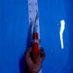 Kohaku 25cm
