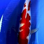 Kohaku original