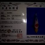 Sanke (Sakai) 34cm. Import Sertifikat