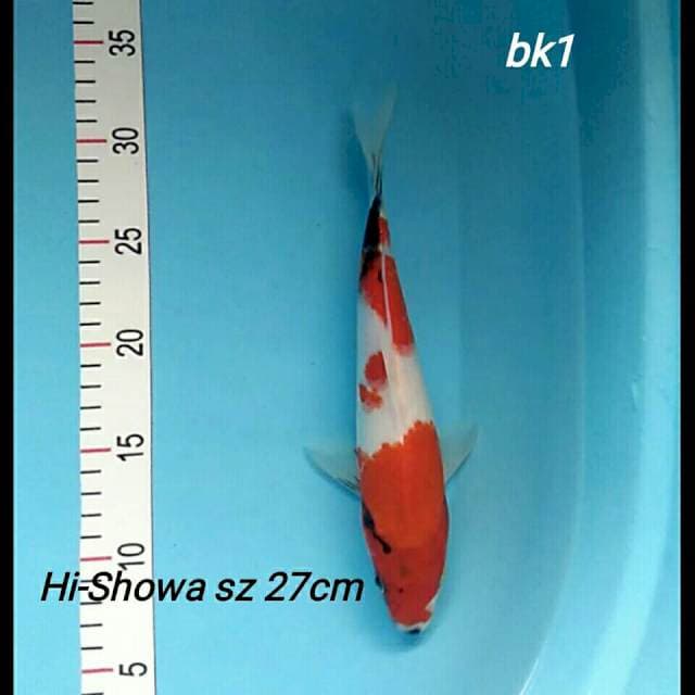 Hi-Showa