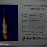 Dainichi Shiro Serti Hologram 