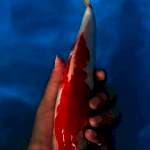 kohaku male 30bu