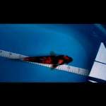 Showa32cm