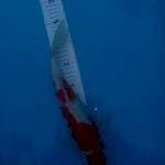 Kohaku strong