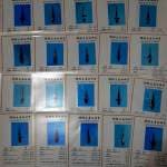 1 BOX DAINICHI SIZE 10-15BU 20 EKOR