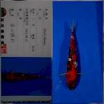 Ginrin showa shinoda