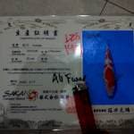 Kohaku import Sakai farm