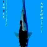 Goromo 29cm Otsuka Koi Farm