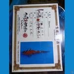 tategoi showa sanshoku import isa 34cm