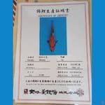 showa tategoi import 30cm
