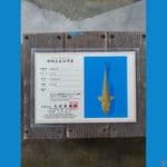 chagoi