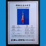 KOHAKU DAINICHI 20CM