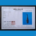 KIN KI UTSURI MARUHIRO 20CM
