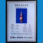 SANKE DAINICHI 20CM