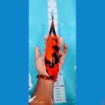 showa 30 cm