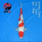 Maruten Kohaku Ginrin