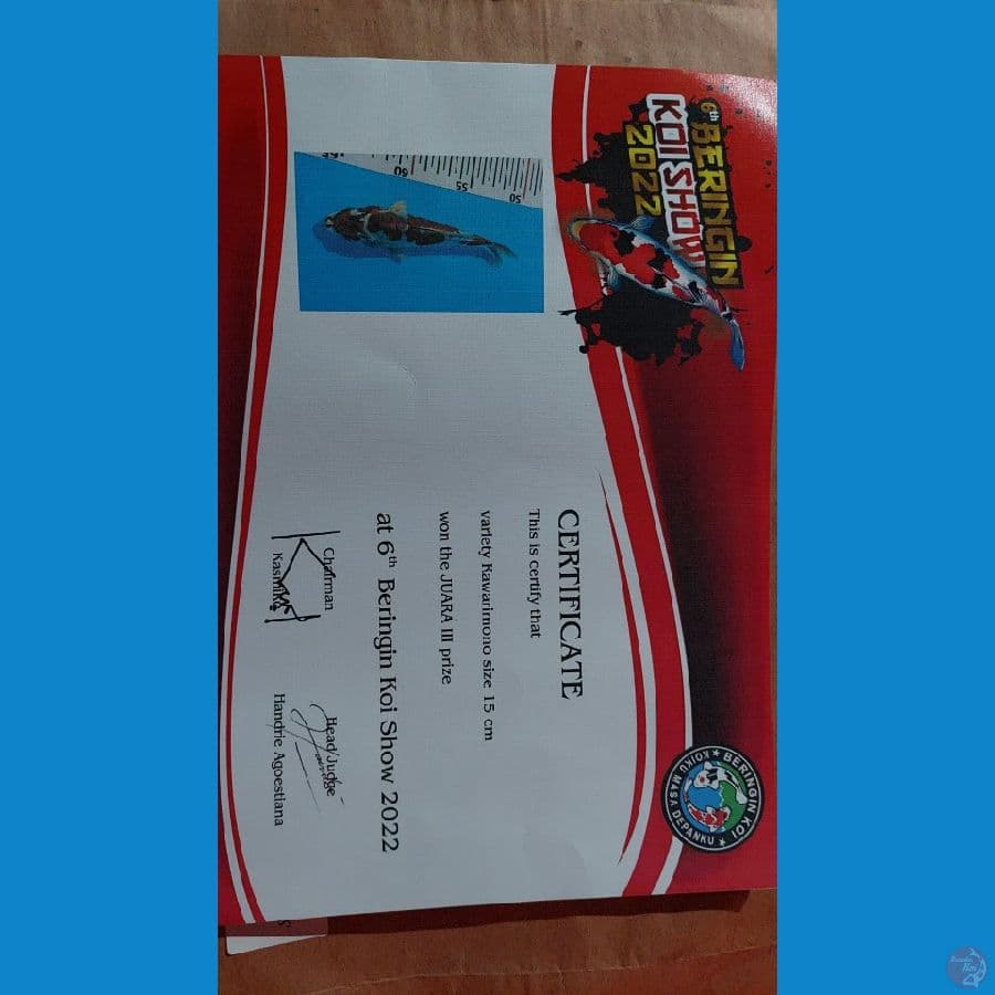 Kawarimono titel juara 3