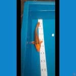 24 cm