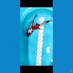 showa 29-31 cm