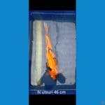 Hi utsuri 46 cm Male