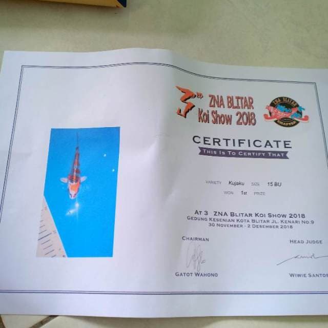Kujaku + serti juara 1 ZNA 2018