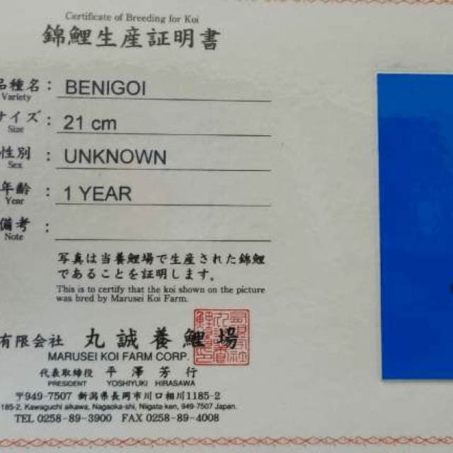 Benigoi import