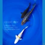 SHORT BODY 3 FISH