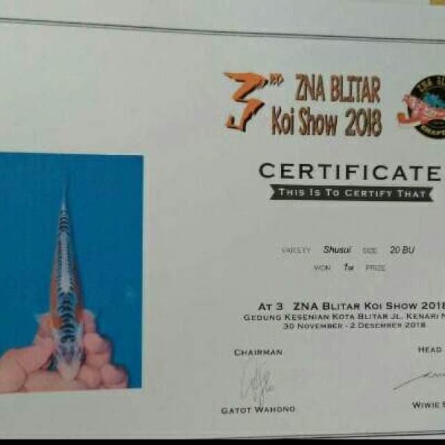 Mini Shusui SQ juara 1 serti
