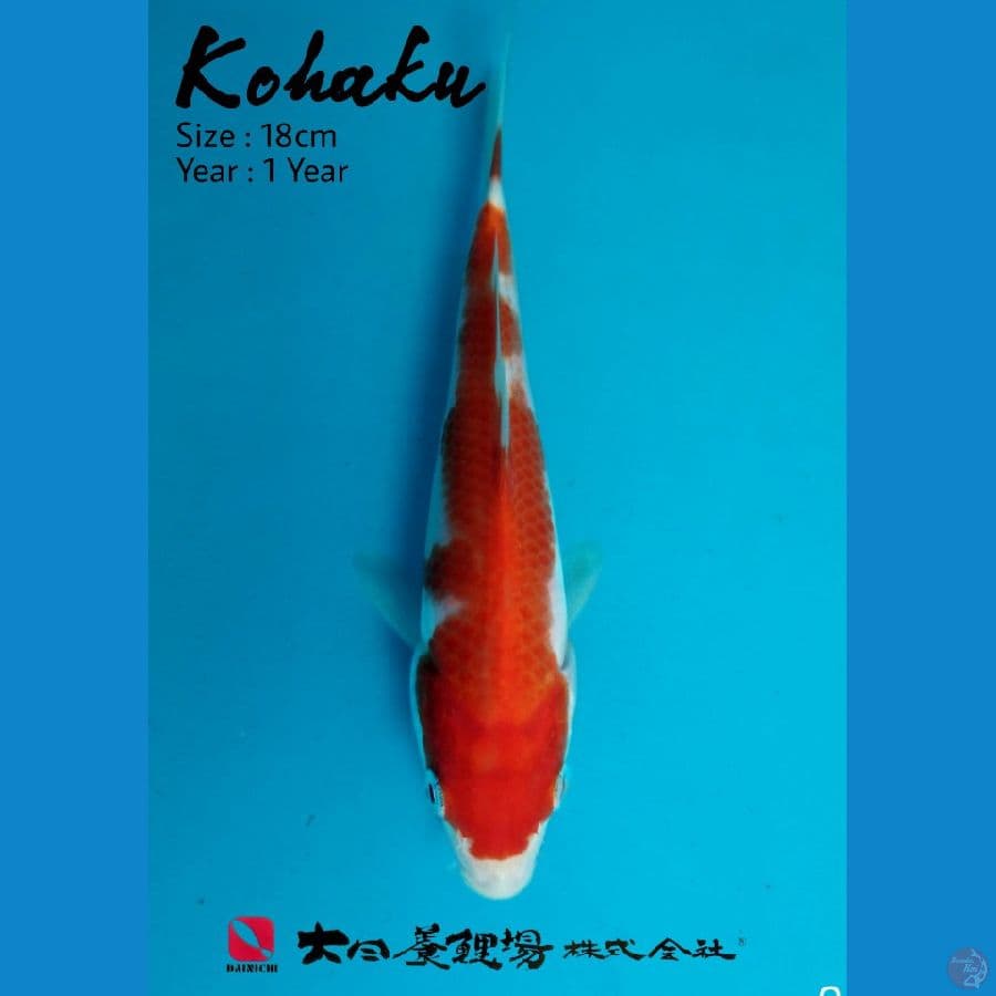 Kohaku Dainichi Farm