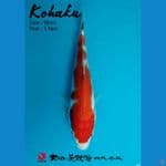 Kohaku Dainichi Farm