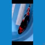 Showa 40 Cm jantan Joss