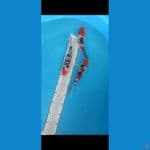 Trio Sanke 22 cm