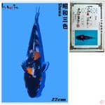 SHOWA IMPORT ISA Farm 27cm