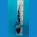 Showa Doitsu 27cm