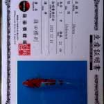 Kindai showa Sinoda 28cm