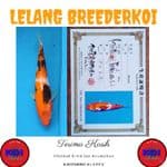 Showa 28cm Import Murmer