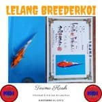 Showa Import 27cm Sertifikat