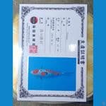 Sanke Doitsu Serti Sinoda Fram 37cm