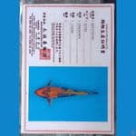 Kin Utsuri Serti Marusei 36cm